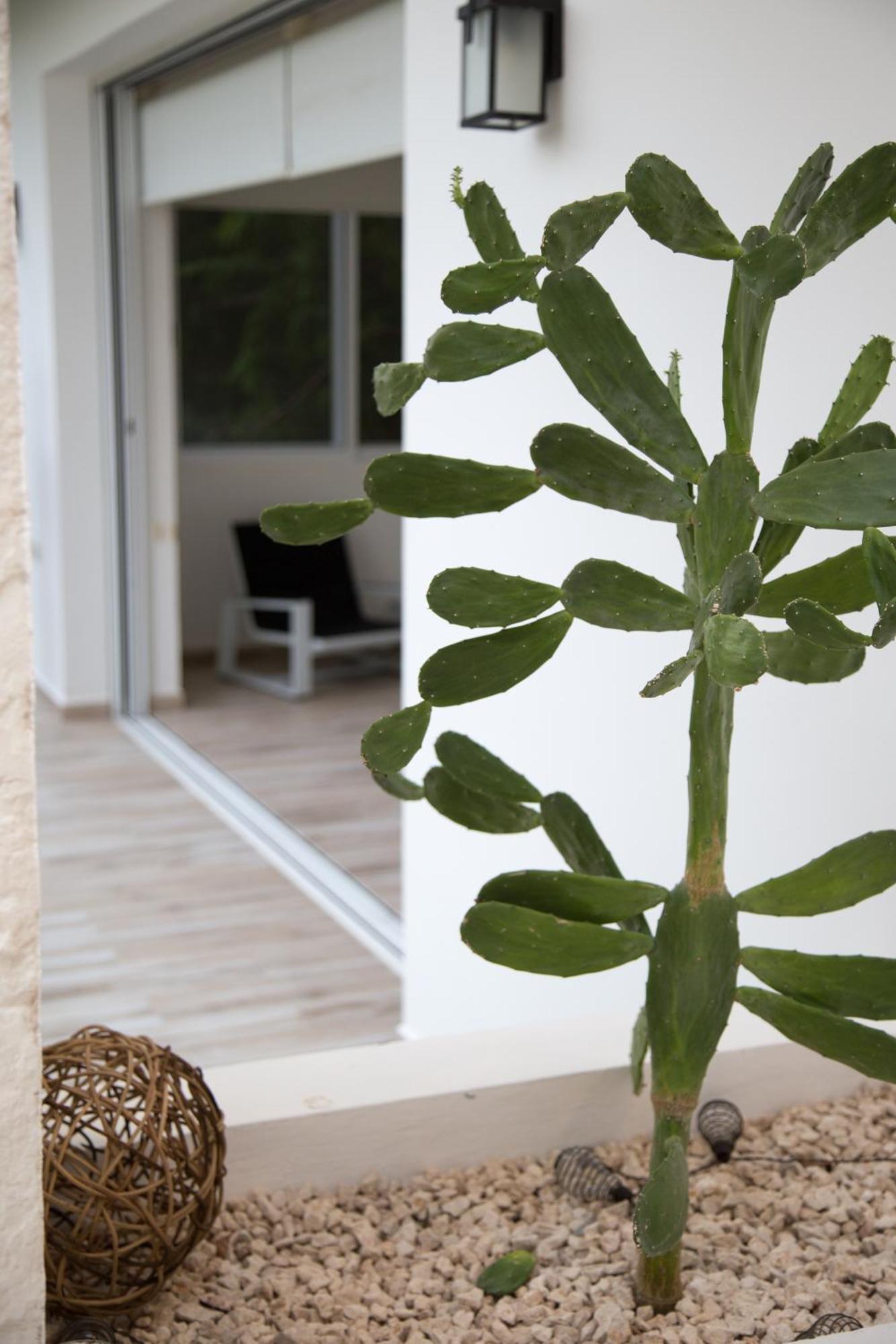 Luxury Private Villas , Private Pool, Private Garden, Jacuzzi, 24Hours Security Tulum Cameră foto